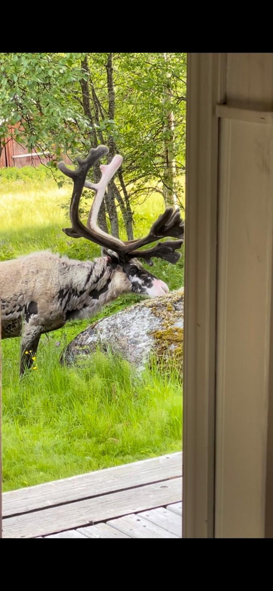 Villa Taenndalens Stugby Esterno foto